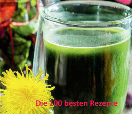 smoothiesrezepte
